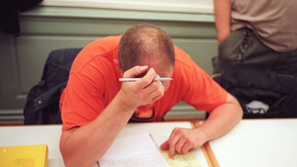 Erwachsene mit Schutzstatus S können im Kanton Luzern neu von Bildungsgutscheinen profitieren. (Archivaufnahme)