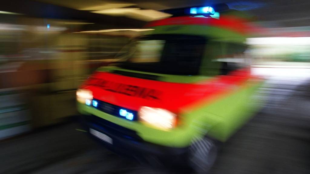 Grosseinsatz von Feuerwehr und Rettungskräften am Dienstagabend auf dem Gelände eines Paket-Verteilzentrums im deutschen Bundesland Sachsen-Anhalt. (Symbolbild)