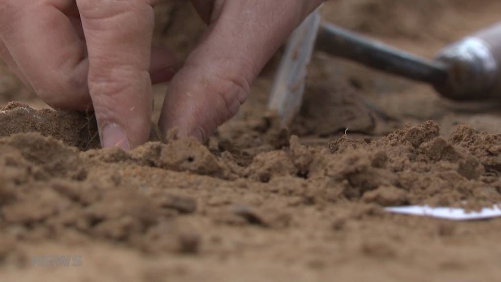 Fribourg vor 2500 Jahren: Bronzezeit Funde auf Baustelle in Posieux entdeckt