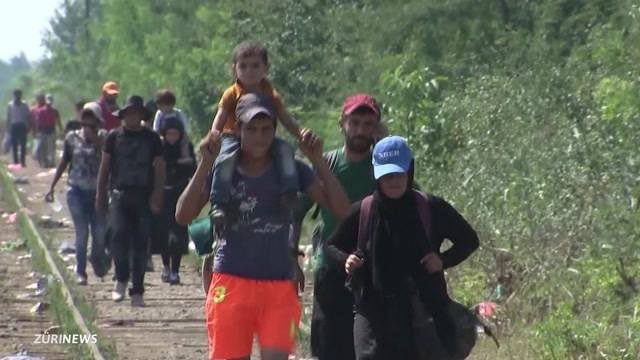 Trotz Flüchtlings-Tragödien: Hälfte der Schweiz will Grenzen schliessen
