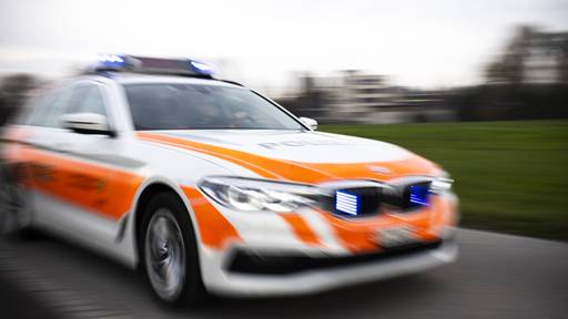 Sieben Anzeigen nach Verkehrskontrollen auf der A13 bei Sevelen SG