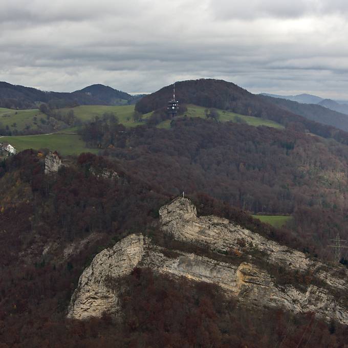 So will der Kanton Solothurn das Waldgesetz anpassen