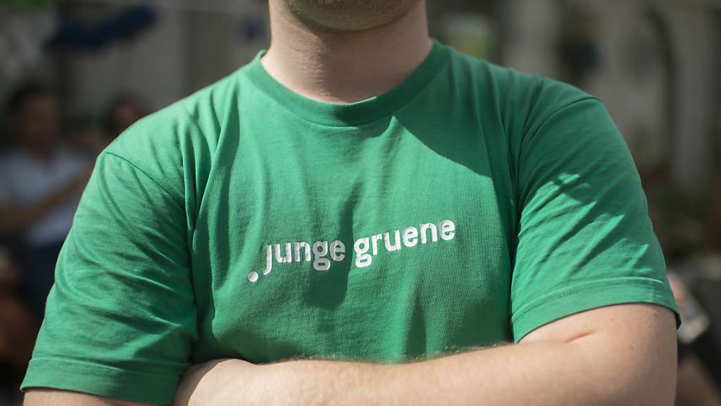 Ein Junger Grüner am 10-Jahre-Jubiläumsfest 2014 in Wabern bei Bern.