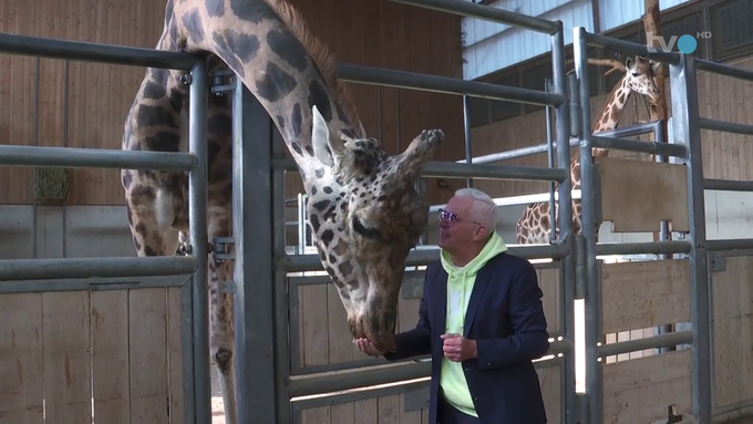 Zoo-Direktor voller Freude: «Da sind natürlich tausende von Emotionen im Spiel»
