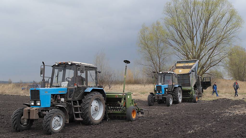 Die westlichen Staaten wollen der Ukraine beim Export von Agrarprodukten helfen. (Archivbild)