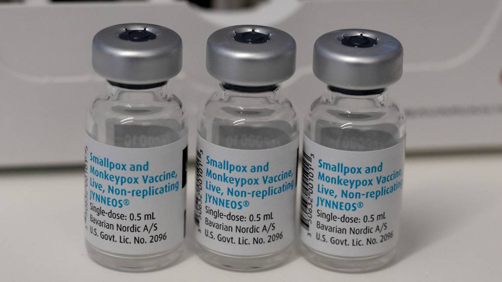 Der Bund evaluiert derzeit die zentrale Beschaffung eines Impfstoffs gegen die Affenpocken.