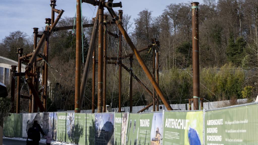 Zoo Zürich sucht nach gescheiterter Verhandlung neuen Volierenbauer