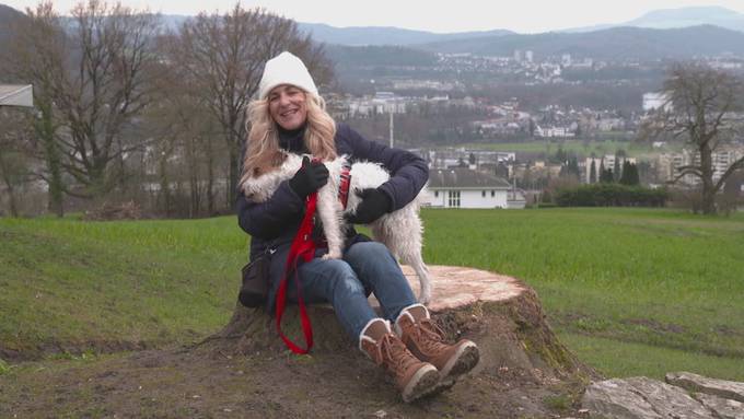 Vorschau «Tierisch»