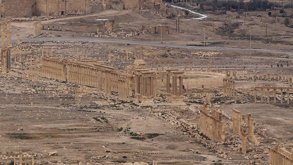Die Terrormiliz Islamischer Staat (IS) hat wieder die Kontrolle über die syrische Wüstenstadt Palmyra übernommen. Die Truppen von Staatschef Baschar al-Assad hätten sich zurückgezogen, berichtete die Syrische Beobachtungsstelle für Menschenrechte. (Bild vom April 2016)