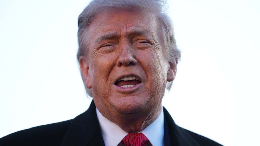 ARCHIV - US-Präsident Donald Trump spricht in Washington. Foto: Mark Schiefelbein/AP/dpa