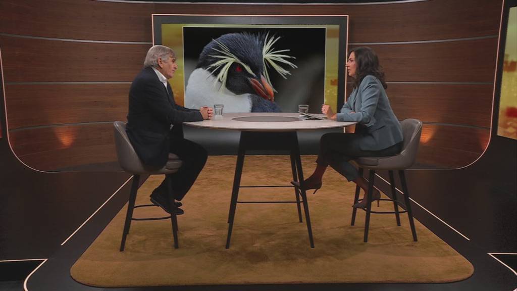 Zürcher Pinguinforscher: Wie ein Mann die Antarktis schützt 