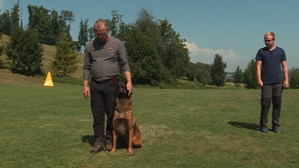 Anspruchsvolles Hundetraining