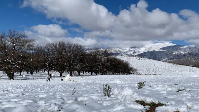 Kaltfront beschert Südafrikanern Schneevergnügen - weisser Tafelberg