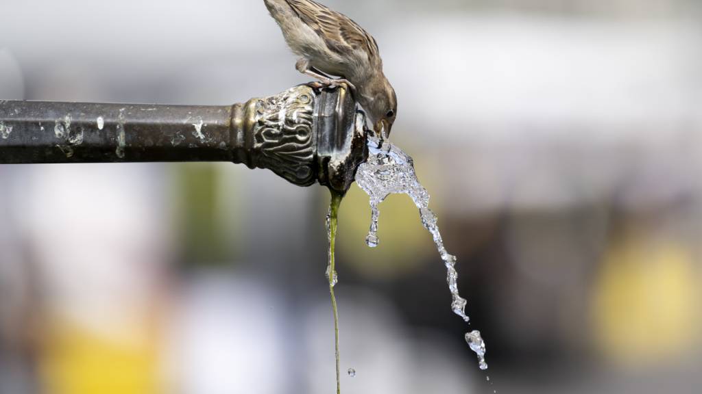 Die Brunnen in Chur bleiben trotz Trockenheit in Betrieb. (Symbolbild)