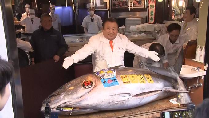 Rekord-Auktion auf Fischmarkt in Tokio: Thunfisch für 2,5 Millionen Franken verkauft