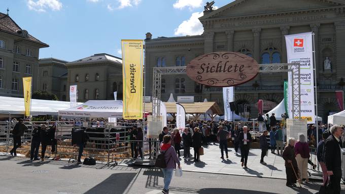 Tiere auf dem Bundesplatz und Raclette von Christian Stucki