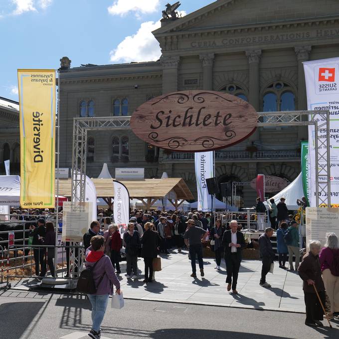 Tiere auf dem Bundesplatz und Raclette von Christian Stucki