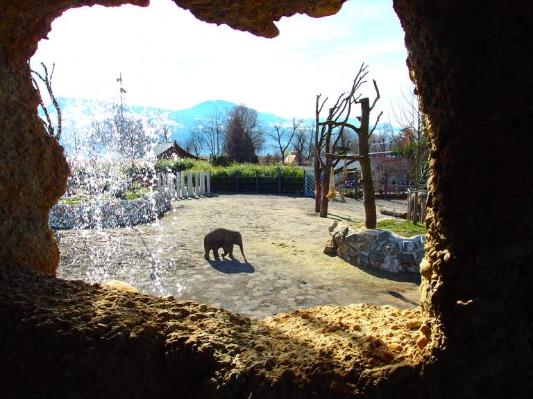 Himmapan -  der neue Elefantenpark im Knies Kinderzoo