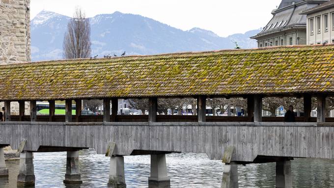 Wucherndes Moos bedroht Luzerner Wahrzeichen