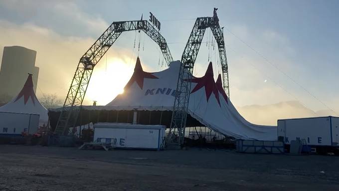 Hier stellt der Circus Knie sein grosses Zelt auf der Allmend auf