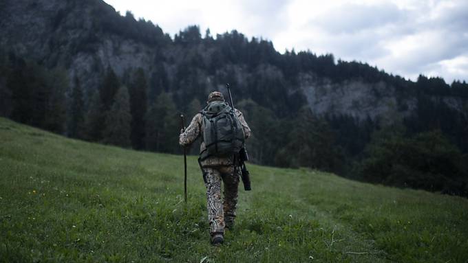 Im Kanton St.Gallen werden 800 Jägerinnen und Jäger gesucht