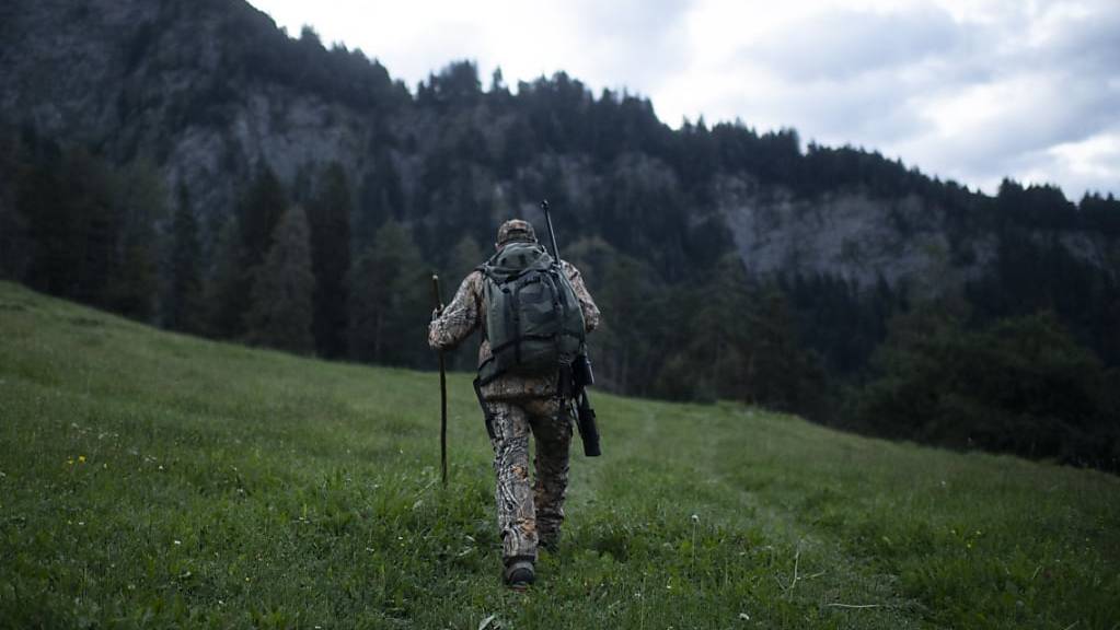 Im Kanton St.Gallen gibt es Jagdreviere sowohl in der Stadt als auch im Hochgebirge. (Symbolbild)