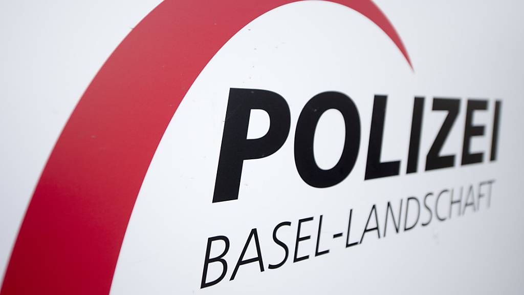 Eine Patrouille der Kantonspolizei Baselland hat am Samstagabend in Reinach zwei Jugendliche dingfest gemacht, die mit einem mutmasslich gestohlenen Lieferwagen Fahrerflucht begangen haben. (Archivbild)