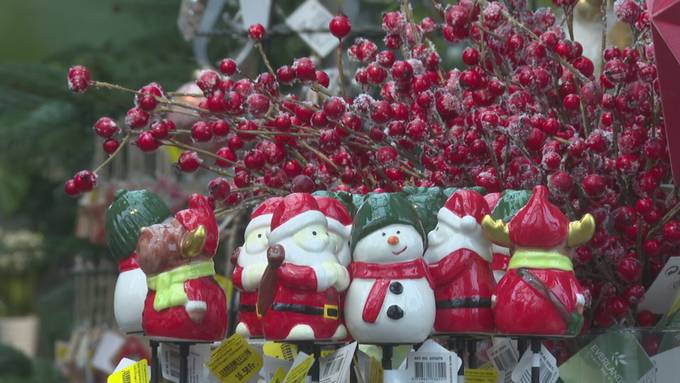 Shopping-Offensive: Thurgauer Fachgeschäfte sagen Onlinehandel den Kampf an