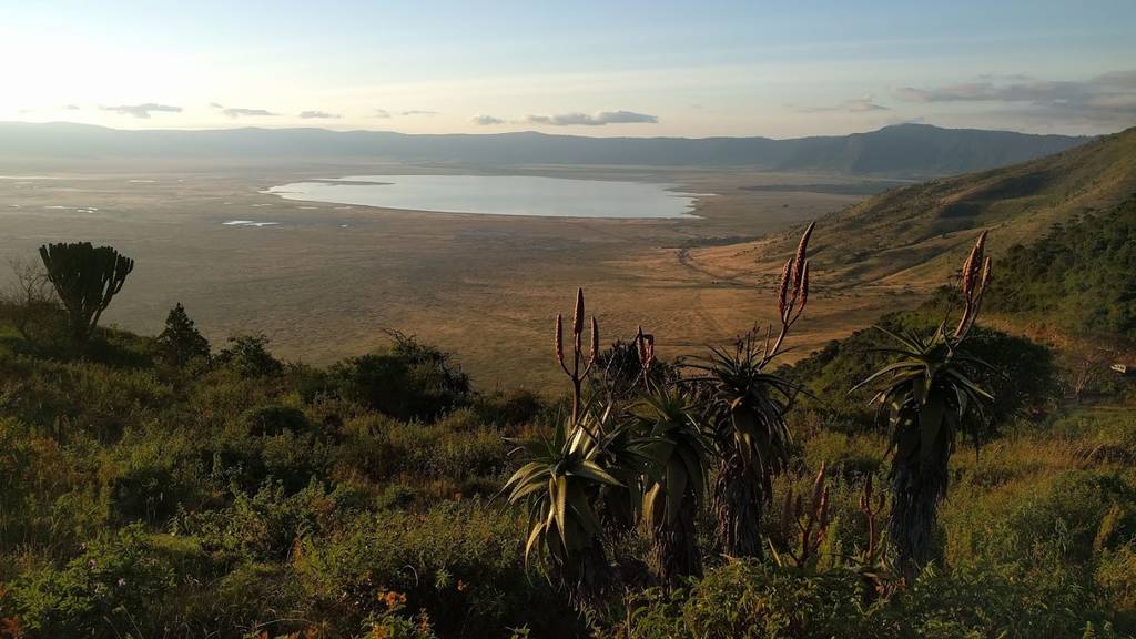 Safari im grössten Vulkankrater der Welt