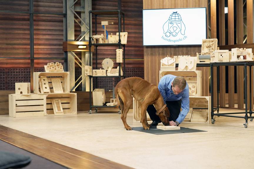 «Fitz The Dog», der treue Begleiter von Investor Tobias Reichmuth, testet das Spielzeug höchstpersönlich. (Bild: pd)