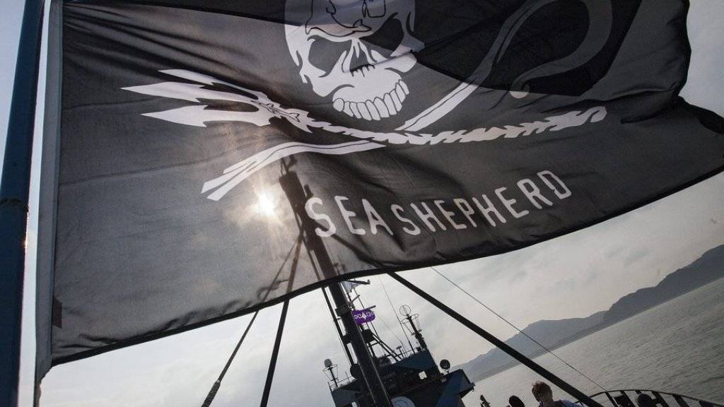 Die Flagge von Sea Shepherd weht auf ihrem Flaggschiff «Steve Irwin». (Archivbild)