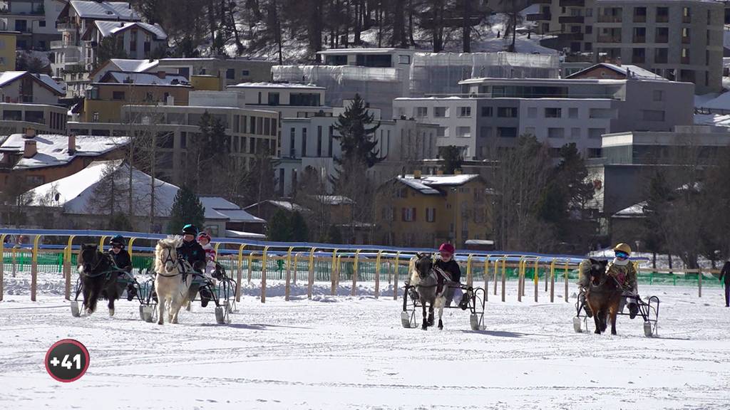 Ponyrennen auf dem Eis