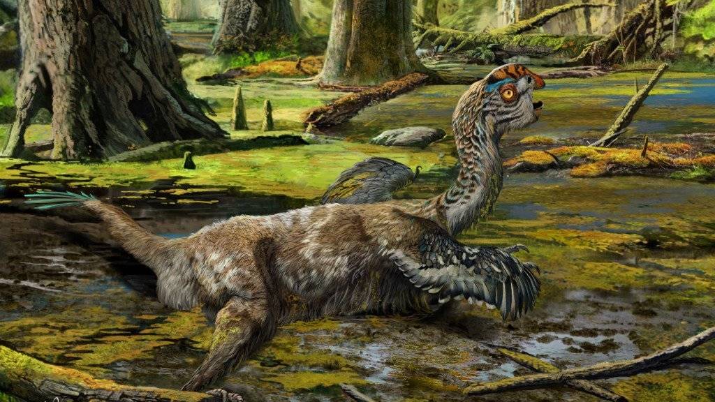 So könnte der Todeskampf von Tongtianlong limosus ausgesehen haben. Sein Fossil wurde in ungewöhnlicher Stellung gefunden: platt auf dem Bauch, alle Viere von sich gestreckt und mit erhobenem Kopf. (Illustration)