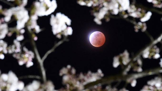 Nebel könnte Blutmond verdecken