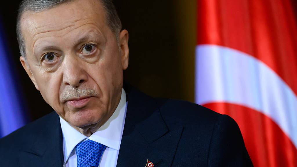Der türkische Präsident Recep Tayyip Erdogan fordert einen Waffenstillstand im Gaza-Krieg. Foto: Bernd von Jutrczenka/dpa