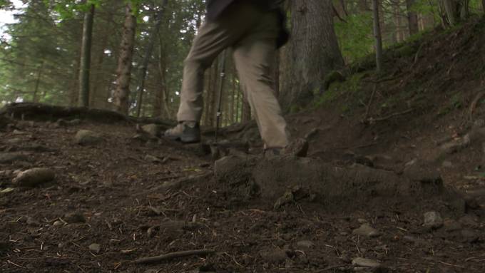 Der Wald als Rennpiste: Wanderer ärgern sich über Töfffahrer