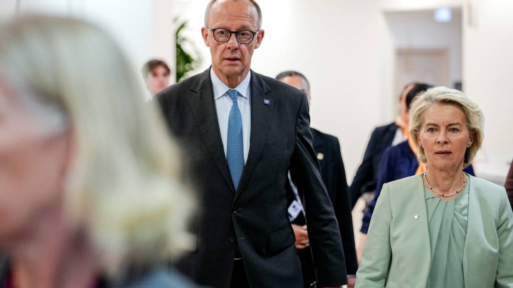 ARCHIV - Bundeskanzler Friedrich Merz (CDU) und Ursula von der Leyen (r), Präsidentin der Europäischen Kommission, kommen beim informellen Treffen der Staats- und Regierungschefs der EU-Staaten zu einem gemeinsamen Treffen zusammen. Foto: Kay Nietfeld/dpa