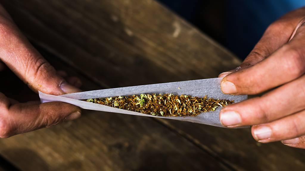 ARCHIV - Ein Patient, mit der Erlaubnis Cannabis zu konsumieren, rollt einen Joint. Cannabis zu Hause oder gemeinschaftlich in speziellen Clubs anbauen oder ganz legal einen Joint rauchen - das soll mit dem Gesetz zur Cannabis-Legalisierung in Deutschland möglich werden. Foto: Philipp von Ditfurth/dpa