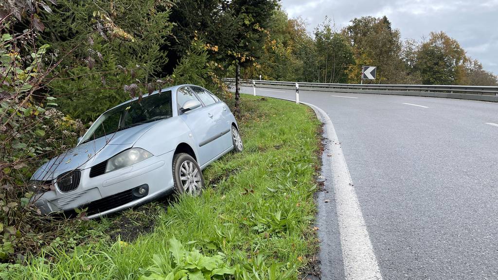 Auch wenn der Fahrer von der Strasse abkam: Es wurde niemand verletzt. 