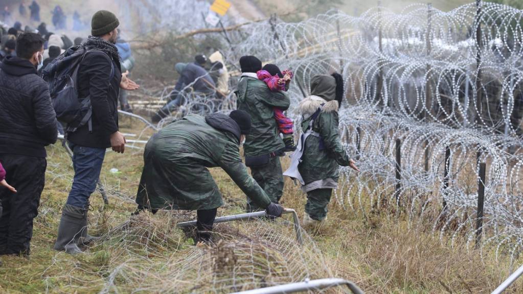 dpatopbilder - Migranten stoßen an der Grenze zu Polen einen Zaun um, während die Polizei hinter einem Stacheldrahtzaun steht. Mehrere Hundert Migranten haben sich nach Angaben der Behörden in Belarus zu Fuß auf den Weg zur Grenze zum EU-Nachbarland Polen gemacht. Foto: Leonid Shcheglov/BelTA/AP/dpa