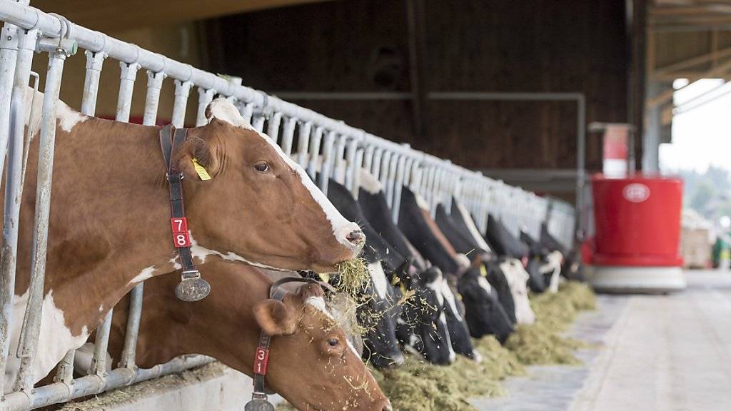 Beim Milchpreis gibt es nach wie vor Handlungsbedarf, findet der Schweizerische Bauernverband - teilweise seien die Abweichungen vom Richtpreis extrem gross. (Archivbild)
