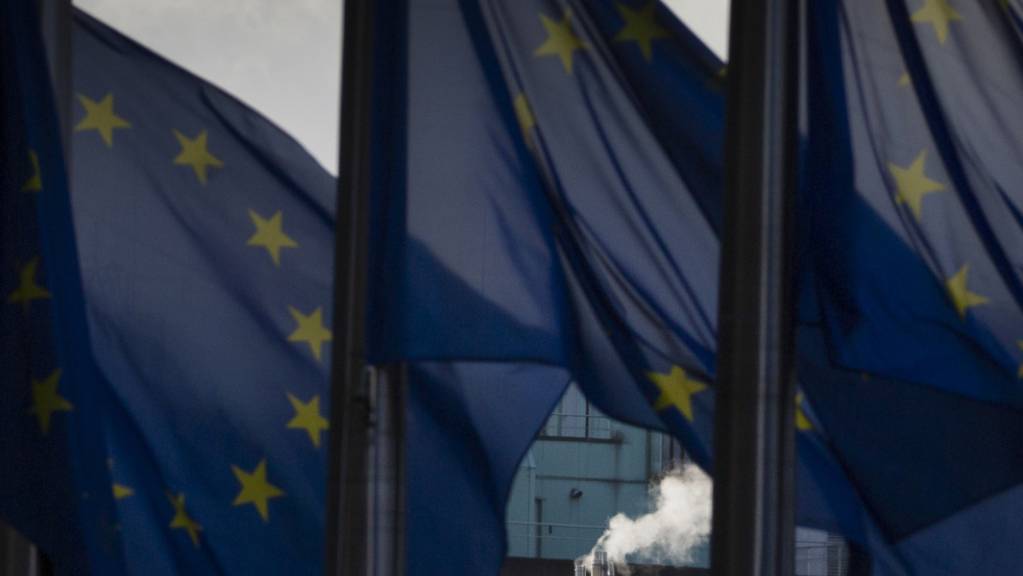 dpatopbilder - Die EU-Botschafter haben einstimmig die vorläufige Anwendung des Handels- und Kooperationsabkommens zwischen der EU und Großbritannien ab dem 1. Januar 2021 genehmigt. Foto: Virginia Mayo/AP/dpa
