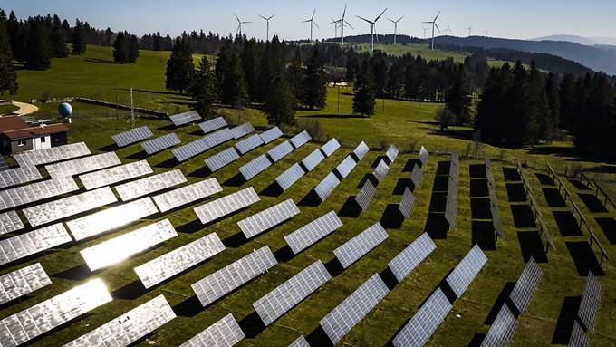 Guter Zustand des Mont-Soleil überrascht Experten