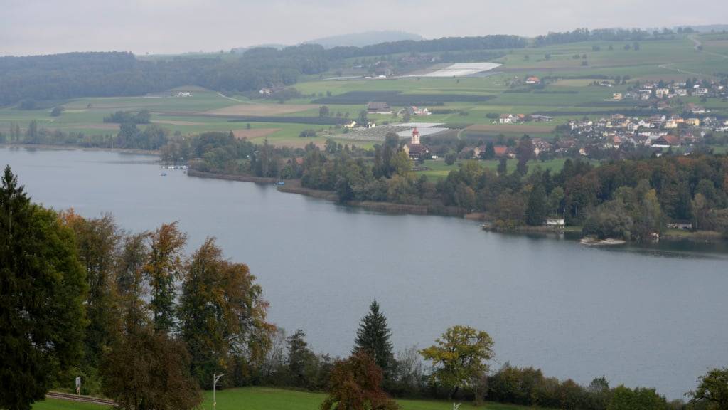 Der Baldeggersee weist eine zu hohe Phosphorkonzentration auf. (Archivbild)