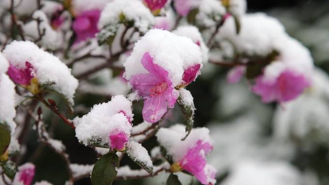 Das sind eure schönsten Schneebilder