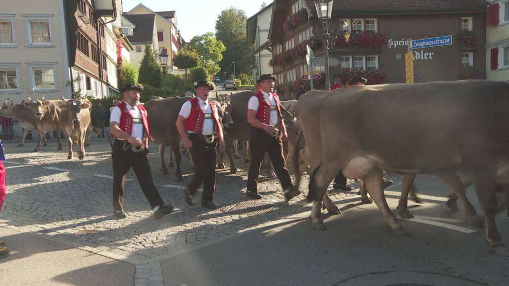 Wiler Viehmarkt kämpft ums Überleben