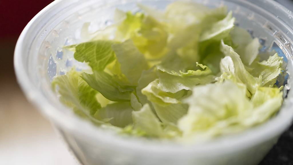 Die Wissenschaftler untersuchten Blattgemüse, das in der Schweiz, Italien, Spanien oder Israel gewachsen war. (Archivbild)