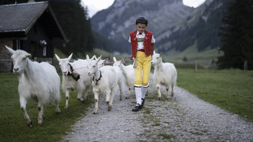Der Alpabzug hat für die Bäuerinnen und Bauerin im Appenzellerland eine besondere Bedeutung.