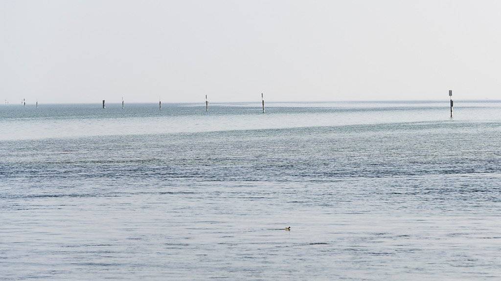 Blick auf den Bodensee, von Konstanz aus: Sieben Grad kalt war das Wasser, in dem ein Fischer und ein Sohn während sieben Stunden auf Rettung warteten, nachdem ihr Boot gekentert war. (Symbolbild)