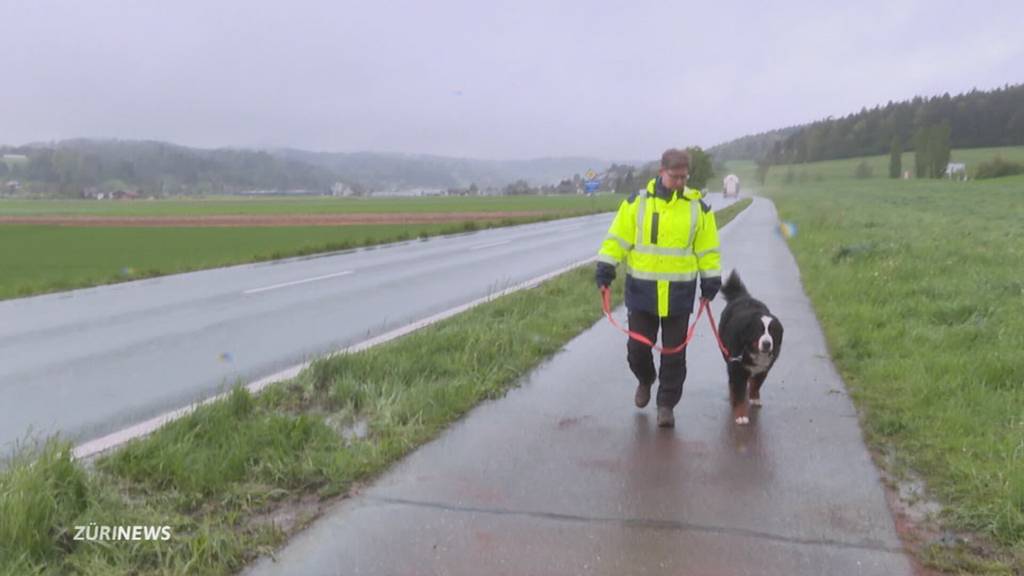 Betrunkener 17-Jähriger kippt mit Traktor – Führerausweis weg